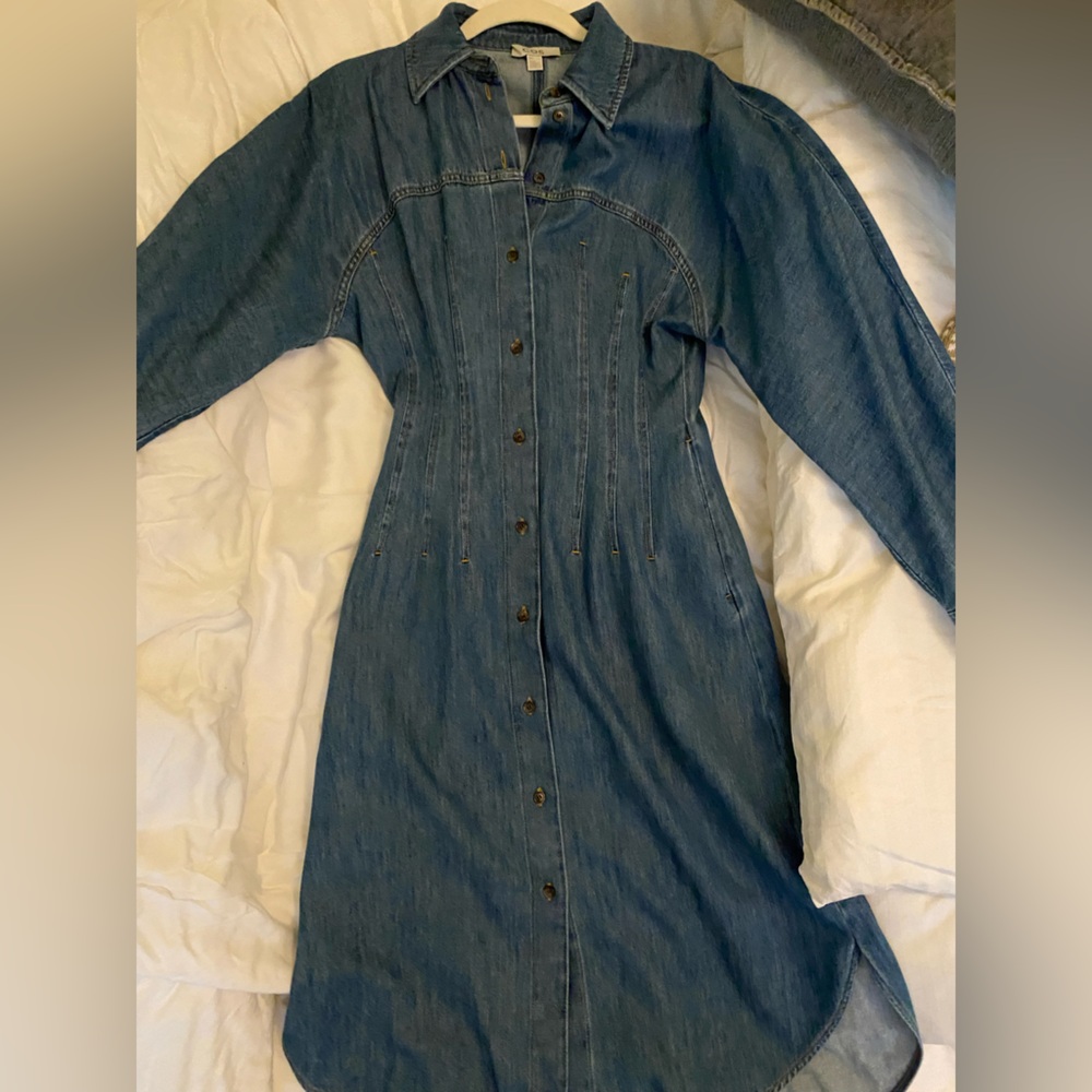 COS Long Sleeve Denim Button-Up Dress